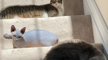 Hayo, ini ke atas atau ke bawah? Foto: via Brightside/Reddit IndoorPilot