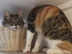 Foto yang Ditangkap Pada Momen yang Tepat, Hasilnya Mind Blowing!