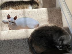 Foto yang Ditangkap Pada Momen yang Tepat, Hasilnya Mind Blowing!