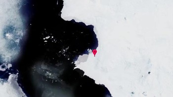 Pine Island Glacier adalah sungai es besar yang dapat ditemukan di benua Antartika juga sedang sangat dipengaruhi oleh pemanasan global. Yayasan Sains Nasional AS memperkirakan bahwa jika gletser ini mencair dan melepaskan air lelehannya ke laut, permukaan laut akan naik sekitar 61 meter. Foto: dok Brightsight