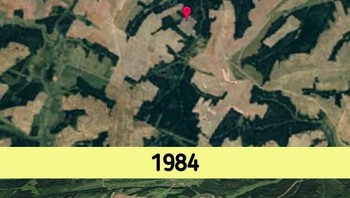Selain kerusakan, ada banyak perubahan positif yang terjadi. Tanaman terbengkalai diubah menjadi hutan hijau subur di Rusia Foto: dok Brightsight