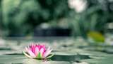 Sederet Keistimewaan Posisi Lotus dalam Bercinta