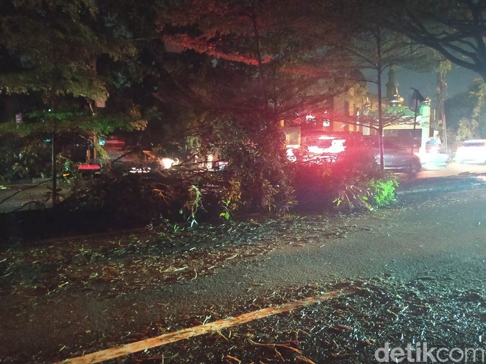 Sisa-sisa pohon tumbang di Jl Margonda Raya, Depok, Jawa Barat, 22 Mei 2021. (Adhyasta D/detikcom)