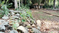 Desa yang terletak sekitar 20 km ke arah barat laut dari kota Kebumen itu, hanya memiliki dua dusun yakni Krajan dan Prapatan. Saat detikcom menelusuri desa tersebut, sepintas tak ada yang berbeda dengan suasana pedesaan lainnya. Namun, meski banyak warga yang membuka warung, tak satupun dari mereka yang berani menjual nasi.