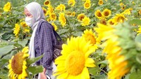 Pengunjung berfoto di antara tanaman bunga matahari di Bogor Sky Garden, Mall BTM, Kota Bogor, Jawa Barat, Sabtu (22/5/2021). 