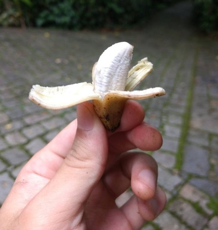 fotoinet berukuran raksasa