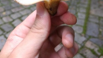 Tak hanya berukuran besar, ada juga lho yang super mini seperti pisang ini. Foto: Brightside