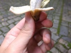 Foto langka dan Unik Ukuran Raksasa