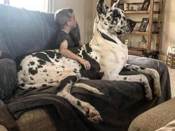 Foto langka dan Unik Ukuran Raksasa