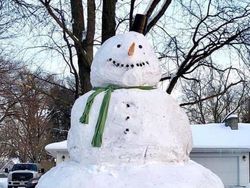 Foto langka dan Unik Ukuran Raksasa