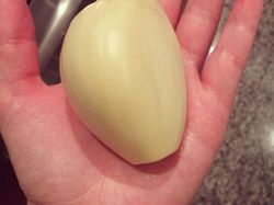 Foto langka dan Unik Ukuran Raksasa