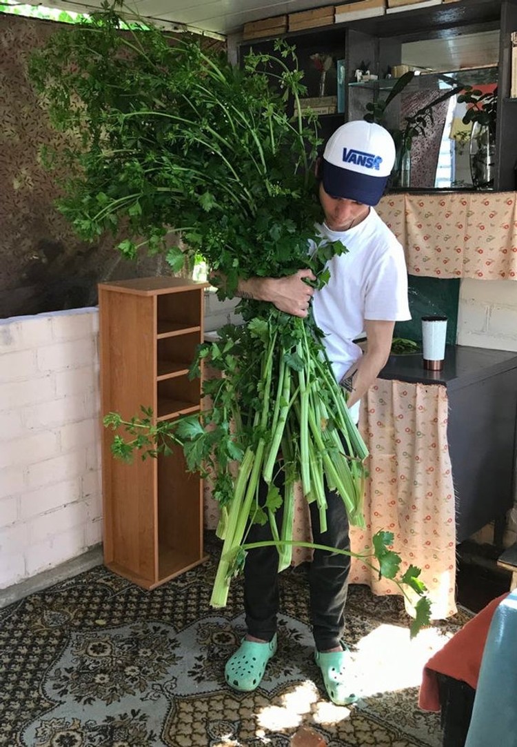 fotoinet berukuran raksasa