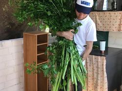 Foto langka dan Unik Ukuran Raksasa