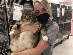 Foto langka dan Unik Ukuran Raksasa