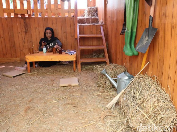 Foto: Coba Tebak, Ini Kafe atau Peternakan?