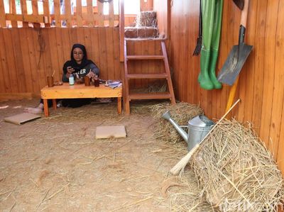 Foto: Coba Tebak, Ini Kafe atau Peternakan?