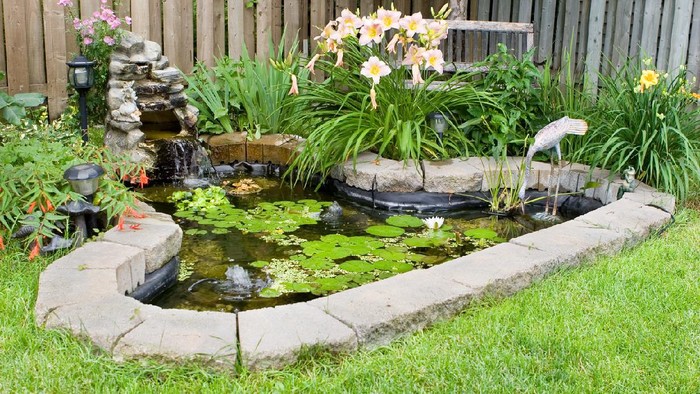 Back Yard Pond.
