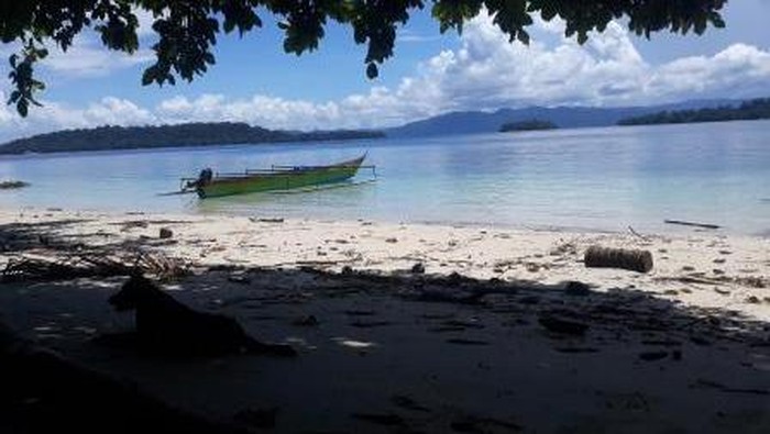 Miliki Taman Laut Terluas di Indonesia, Yuk Kenali Teluk Cenderawasih