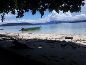 Miliki Taman Laut Terluas di Indonesia, Yuk Kenali Teluk Cenderawasih