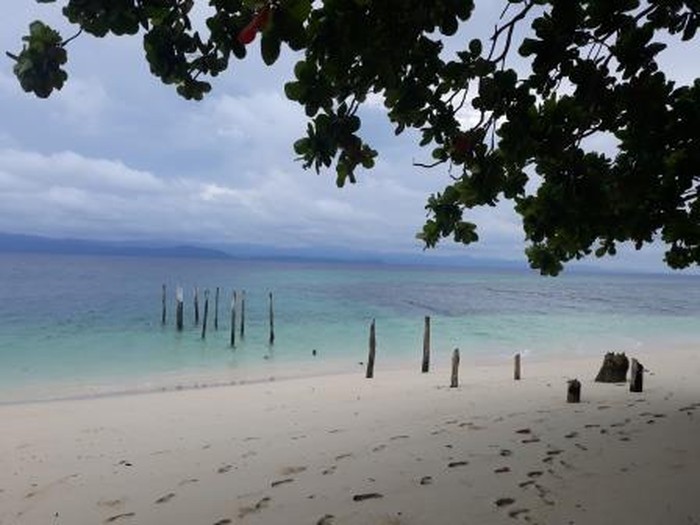 Miliki Taman Laut Terluas di Indonesia, Yuk Kenali Teluk Cenderawasih
