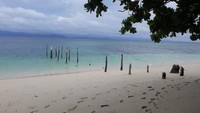 Teluk Cenderawasih memiliki taman laut terluas di Indonesia. Sumber daya lautnya begitu melimpah dan menjadi pusat beragam spesies endemik baik di darat maupun di laut.