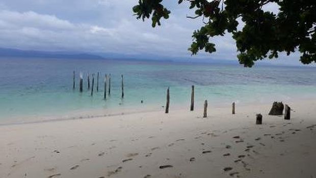 Miliki Taman Laut Terluas di Indonesia, Yuk Kenali Teluk Cenderawasih