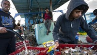 Beragam hasil laut pun dikumpulkan oleh para nelayan.