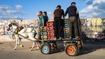 Nelayan di Gaza Kembali Melaut Usai Israel-Hamas Gencatan Senjata