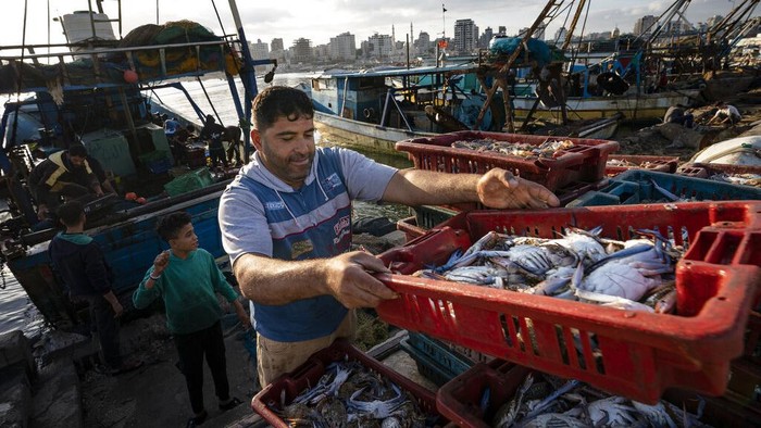 Tempat pelelangan hasil laut di Gaza kembali bergeliat. Hal itu terjadi usai sejumlah kapal nelayan diizinkan kembali melaut pasca Israel-Hamas gencatan senjata