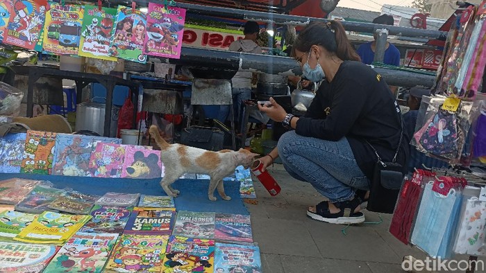 Pecinta kucing di Karawang tengah memberi makan kucing jalanan