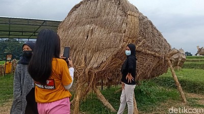 Foto: Saat Jerami Sisa Panen Jadi Karya Seni