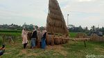 Foto: Saat Jerami Sisa Panen Jadi Karya Seni