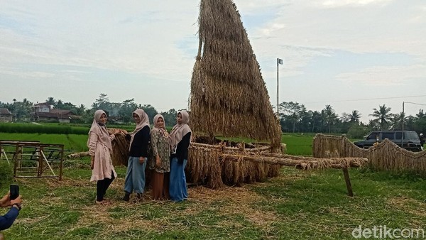 Warga yang penasaran pun masuk untuk bersantai hingga berswafoto bersama teman atau keluarganya. Lokasinya berada di Desa Blambangan, Kecamatan Bawang, Banjarnegara. (Uje Hartono/detikTravel) Warga yang penasaran pun masuk untuk bersantai hingga berswafoto bersama teman atau keluarganya. Lokasinya berada di Desa Blambangan, Kecamatan Bawang, Banjarnegara. (Uje Hartono/detikTravel)