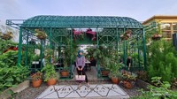 Tobys Estate Urban Farm PIK