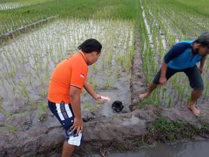 Petani di Mojokerto Tewas Tersambar Petir