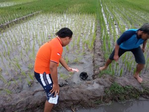 Petani di Mojokerto Tewas Tersambar Petir