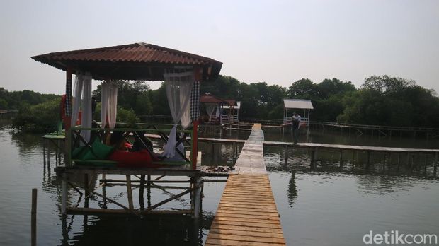 Wisata Hutan mangrove Glagah Wangi di Jepara