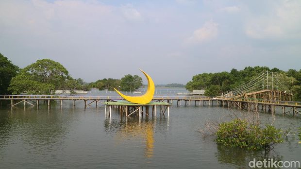 Wisata Hutan mangrove Glagah Wangi di Jepara