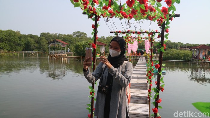 Wisata Hutan mangrove Glagah Wangi di Jepara