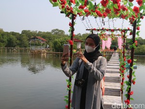 Pesona Wisata Hits Baru di Jepara, Hutan Mangrove Glagah Wangi