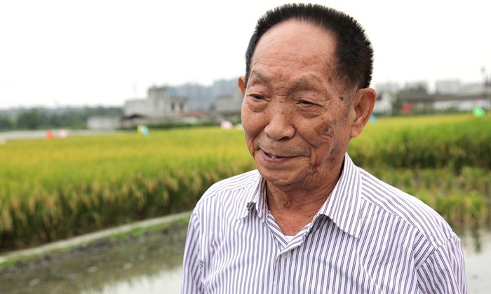 Yuan Longping