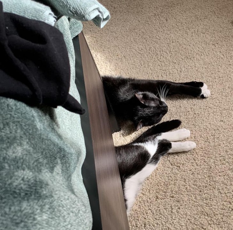 Foto Membingungkan dan Mengecoh Mata