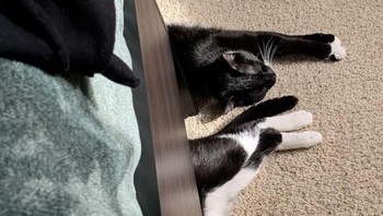 Ini bukan sulap pemisah tubuh... Foto: dok reddit.com/confusing_perspective