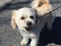 Deretan Foto Membingungkan dan Mengecoh Mata