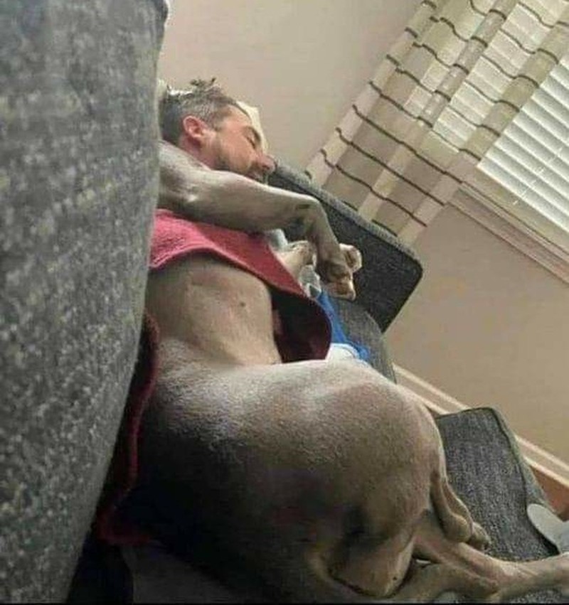 Foto Membingungkan dan Mengecoh Mata