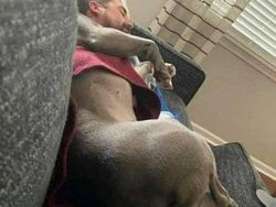 Deretan Foto Membingungkan dan Mengecoh Mata