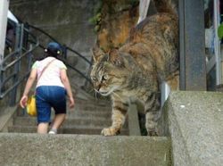 Yakin Melihat Gambar Ini Mata Tak Terkecoh?