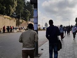 Deretan Foto Membingungkan dan Mengecoh Mata