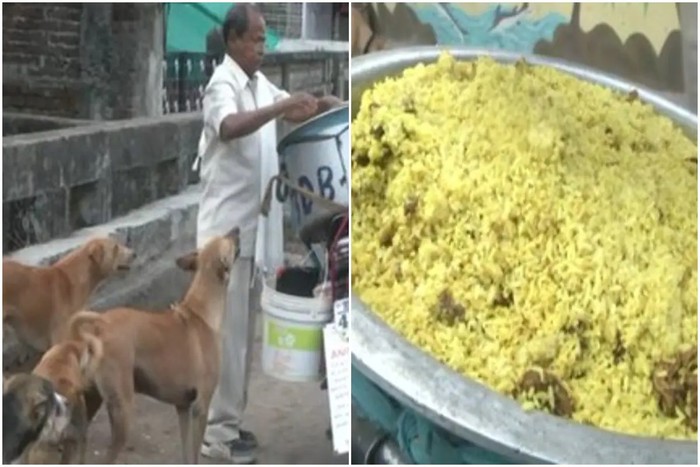 Mulia! Pria Ini Masak Nasi Biryani Ayam Untuk Beri Makan Kucing dan Anjing Liar Mulia! Pria Ini Masak Nasi Biryani Ayam Untuk Beri Makan Kucing dan Anjing Liar