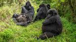 Foto New Big 5, Jangan Buru Mereka!